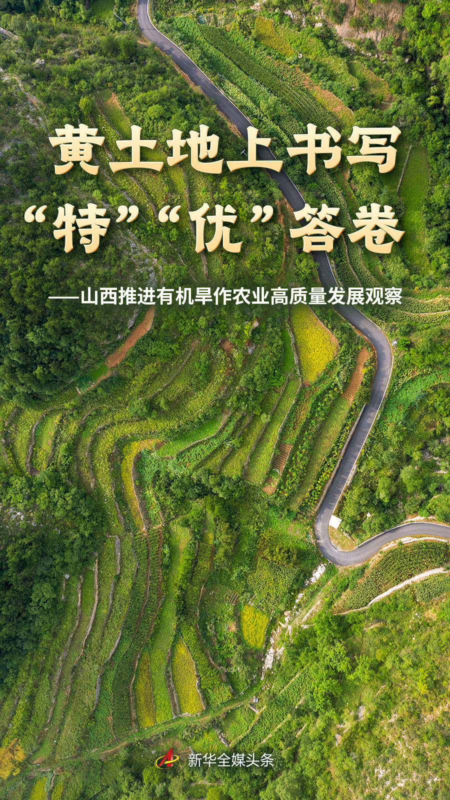 深度解读：足球联赛战术分析与球队动态 - 蓝鲸体育