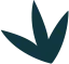 最新赛事动态 - 蓝鲸体育